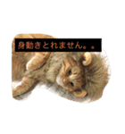 そらの俺様ひとりごと集 第1弾（個別スタンプ：22）