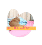 そらの俺様ひとりごと集 第1弾（個別スタンプ：26）
