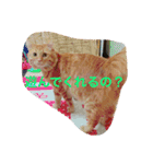 そらの俺様ひとりごと集 第1弾（個別スタンプ：27）