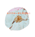 そらの俺様ひとりごと集 第1弾（個別スタンプ：28）