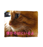 そらの俺様ひとりごと集 第1弾（個別スタンプ：32）