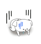 僕はシンバ（個別スタンプ：16）