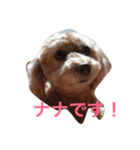 ナナスタンプ（個別スタンプ：2）