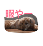 ナナスタンプ（個別スタンプ：3）