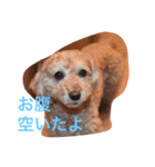 ナナスタンプ（個別スタンプ：4）