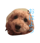 ナナスタンプ（個別スタンプ：5）