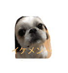 あいのすけ！（個別スタンプ：5）