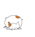 ねこ次 の スタンプ（個別スタンプ：5）