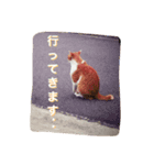 ちゃ〜ちゃん（個別スタンプ：7）