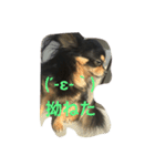 レオニダスの日常（個別スタンプ：4）