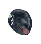 beamarian（個別スタンプ：1）