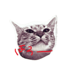 こなひめ（個別スタンプ：1）