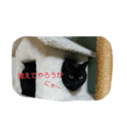 クロネコイチローの日常（個別スタンプ：8）