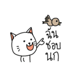 Aggressive White Cat（個別スタンプ：6）