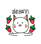 Aggressive White Cat（個別スタンプ：12）
