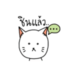 Aggressive White Cat（個別スタンプ：31）