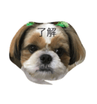 ガンスタンプ（個別スタンプ：2）