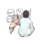 ラムと愉快な仲間達（個別スタンプ：7）