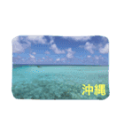 沖縄の海と生き物（個別スタンプ：1）