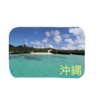 沖縄の海と生き物（個別スタンプ：3）