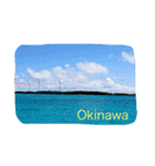 沖縄の海と生き物（個別スタンプ：5）