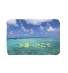 沖縄の海と生き物（個別スタンプ：6）