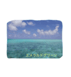 沖縄の海と生き物（個別スタンプ：7）