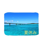沖縄の海と生き物（個別スタンプ：9）