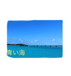 沖縄の海と生き物（個別スタンプ：10）