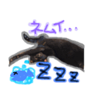 黒猫ハルク（個別スタンプ：3）