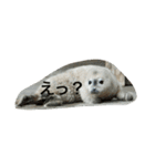 動物の心の声（個別スタンプ：2）