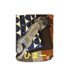 ミニチュアシュナウザーのtamagoちゃん（個別スタンプ：6）