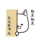 たんちゃん専用スタンプ（ねこ）（個別スタンプ：19）