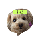 I,m hungry.（個別スタンプ：1）