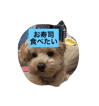 I,m hungry.（個別スタンプ：2）