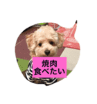 I,m hungry.（個別スタンプ：3）