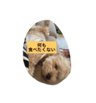 I,m hungry.（個別スタンプ：5）