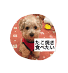 I,m hungry.（個別スタンプ：6）