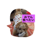 I,m hungry.（個別スタンプ：7）