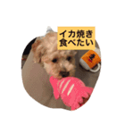 I,m hungry.（個別スタンプ：8）