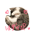 ねこナナ♡トト（個別スタンプ：8）