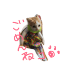 ねこナナ♡トト（個別スタンプ：11）