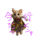 ねこナナ♡トト（個別スタンプ：16）