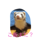 ちょろ（個別スタンプ：1）