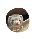 ちょろ（個別スタンプ：3）