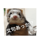 ちょろ（個別スタンプ：4）