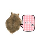 敬語で話す★ハムちゃん（個別スタンプ：7）