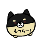 もっちりもっちー（個別スタンプ：1）