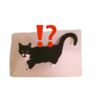 白黒ねこのマサラちゃん（個別スタンプ：4）