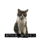 野良猫×故事（個別スタンプ：7）